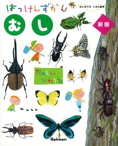 昆虫図鑑で子どもの好奇心を刺激！大人も楽しめるおすすめ10選 - こそ