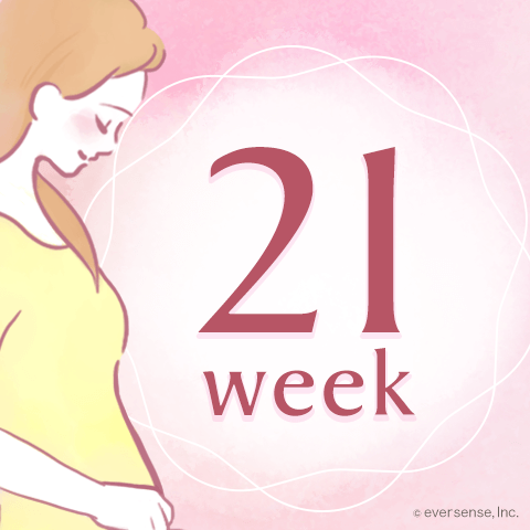 妊娠21週目！赤ちゃんやお腹の大きさは？