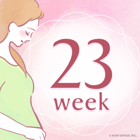 妊娠23週目の妊婦さんの状態や赤ちゃんの大きさ、体重は？