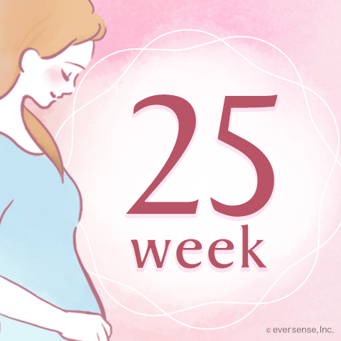 妊娠25週の胎児の体重は？お腹の大きさはどれくらい？