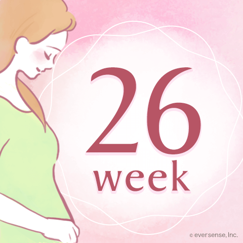妊娠26週！胎児の体重やお腹の大きさは？