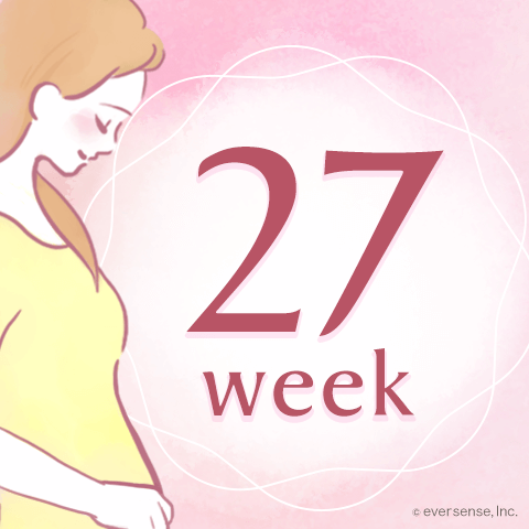 妊娠27週目は安定期の終わり！胎児の体重や妊婦のお腹の大きさは？