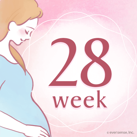 妊娠28週からは妊娠後期へ！赤ちゃんの体重や大きさは？
