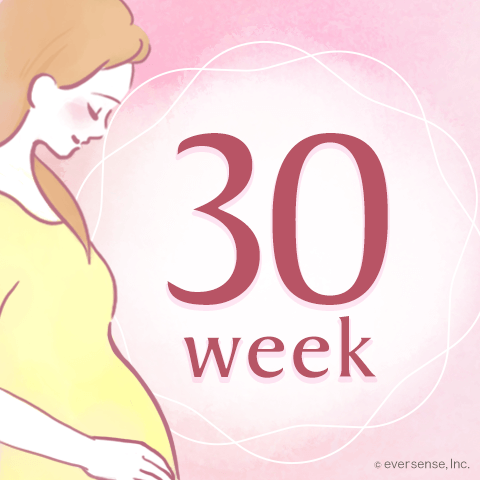 妊娠30週目の赤ちゃんの体重やお腹の大きさは？