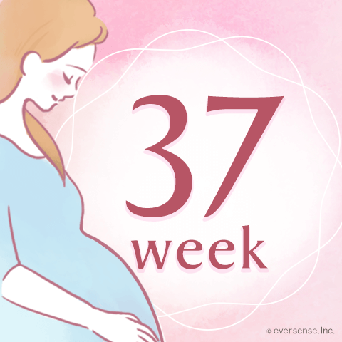 妊娠37週目！ついに正期産！赤ちゃんの体重やお腹の大きさは？