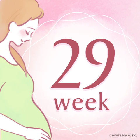 今日から妊娠29週！胎児の体重や大きさは？逆子対策は必要？