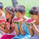 夏休み　小学生　日本人　子供　スイカ