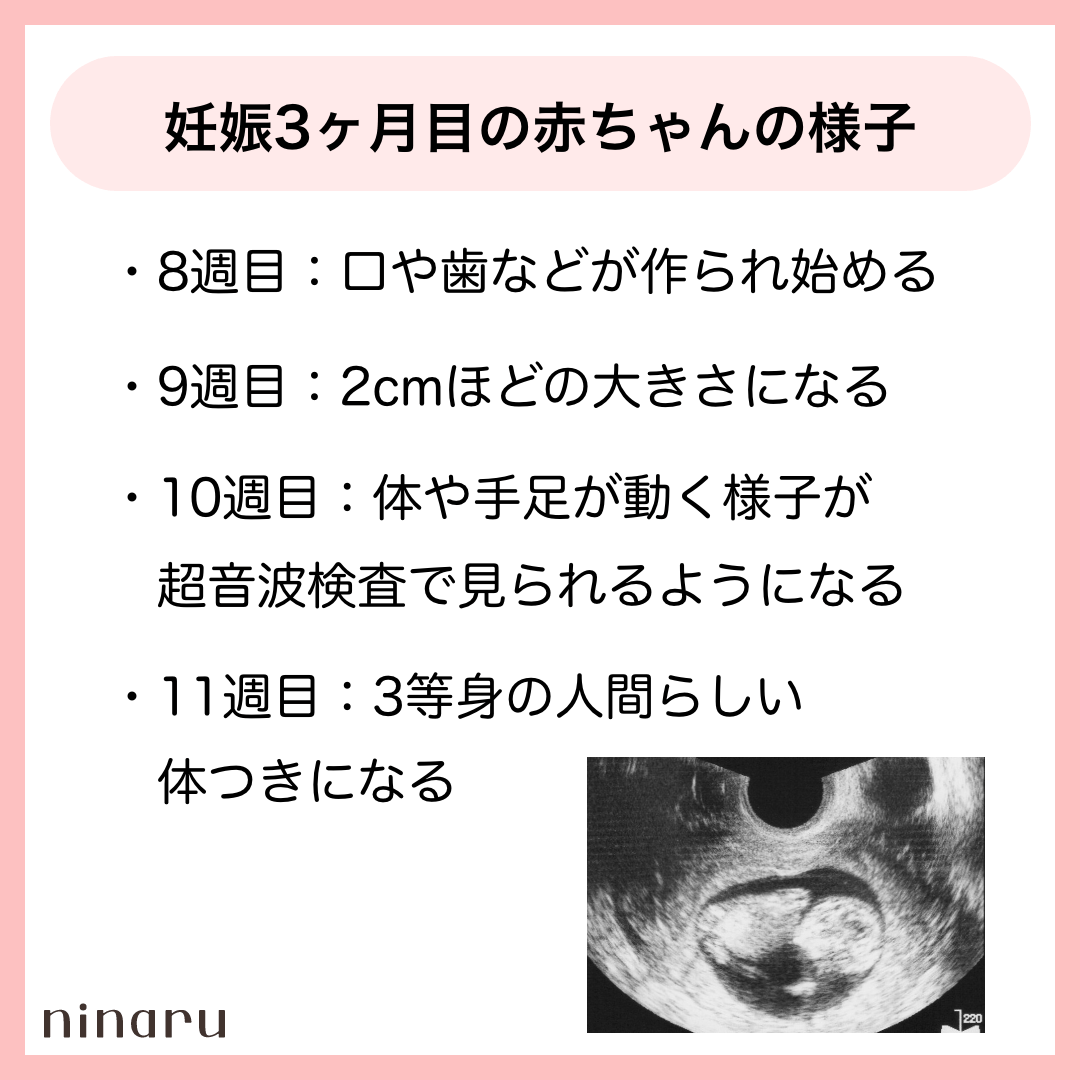 妊娠3ヶ月目の妊婦さんや胎児の様子は お腹の大きさや体重は こそだてハック