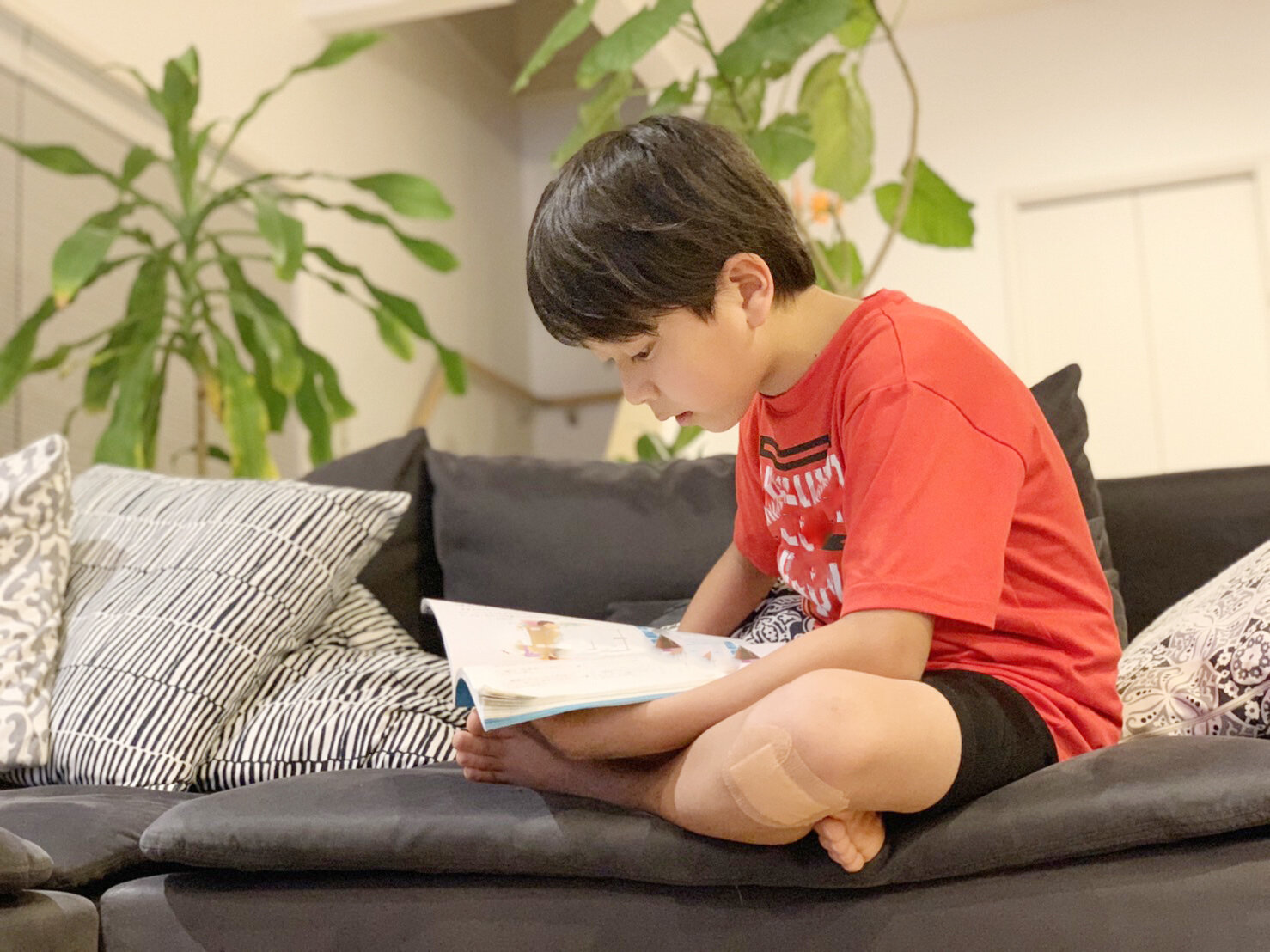 小学1年生の国語の学習内容は どんな問題が出るの 伸ばす方法は こそだてハック