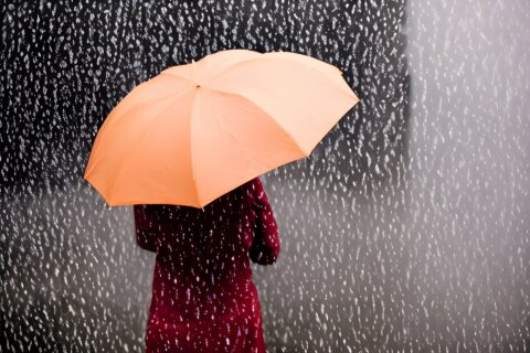 傘　雨　梅雨　女性