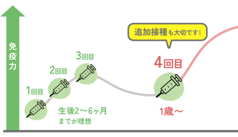 予防接種スケジュール 肺炎球菌