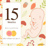 ninaru_週次記念画像_秋