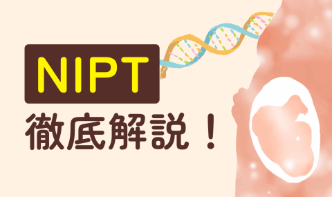 NIPT 新一覧 バナー