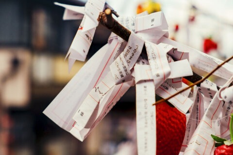 初詣　神社　おみくじ