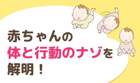赤ちゃんのナゾ行動(ベビーバンド)バナー小