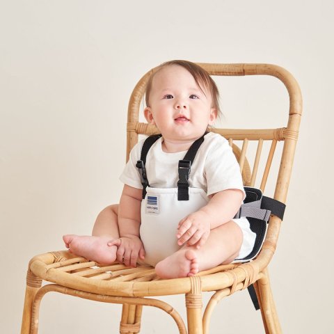 要出典 便利グッズ 日本エイテックス キャリフリー チェアベルト ホールド プラス