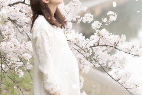 妊婦　花見　春　妊娠中　公園