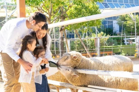 要出典 春のお出かけ 神戸どうぶつ王国