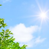 c11117967a356e454296afa9b397158a_1773778299