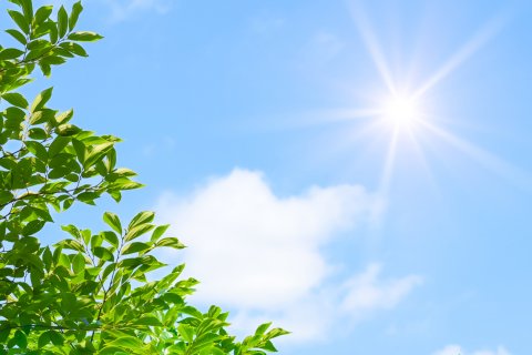 紫外線　空　太陽　木　紫外線対策グッズ
