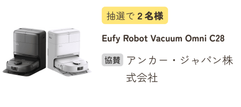 フェスタ アンカー 掃除機