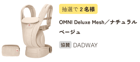 フェスタ dadway エルゴベビー