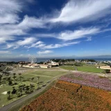 要出典 baby お知らせ GW ゴールデンウィーク お出かけ 赤ちゃん 長井海の手公園 ソレイユの丘