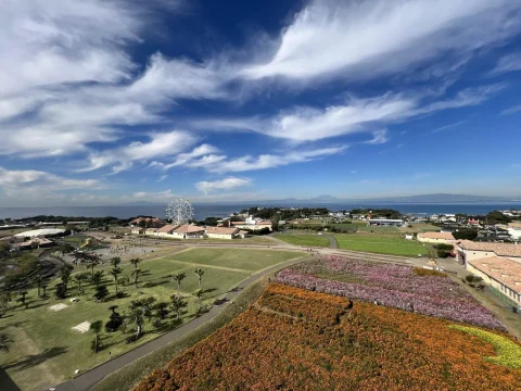 要出典 baby お知らせ GW ゴールデンウィーク お出かけ 赤ちゃん 長井海の手公園 ソレイユの丘