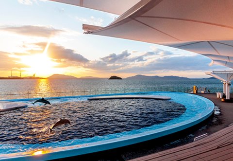 要出典 baby お知らせ GW ゴールデンウィーク お出かけ 赤ちゃん 四国水族館