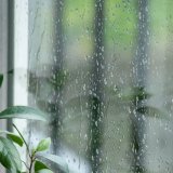 梅雨　カビ対策　窓　結露　ジメジメ