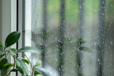 梅雨　カビ対策　窓　結露　ジメジメ