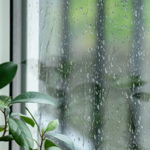 梅雨前に対策を！赤ちゃんをおびやかす「カビ」リスク…簡単な予防法も