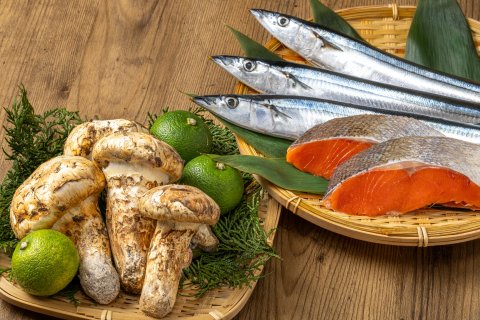 さんま　秋鮭　秋の魚
