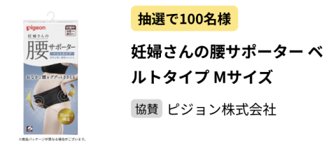フェスタ ピジョン　腰サポーターベルトタイプ